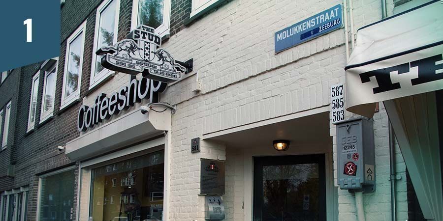 The Stud Coffeeshop Amsterdam The Stud Coffeeshop Amsterdam - najlepsze kwiaty indica