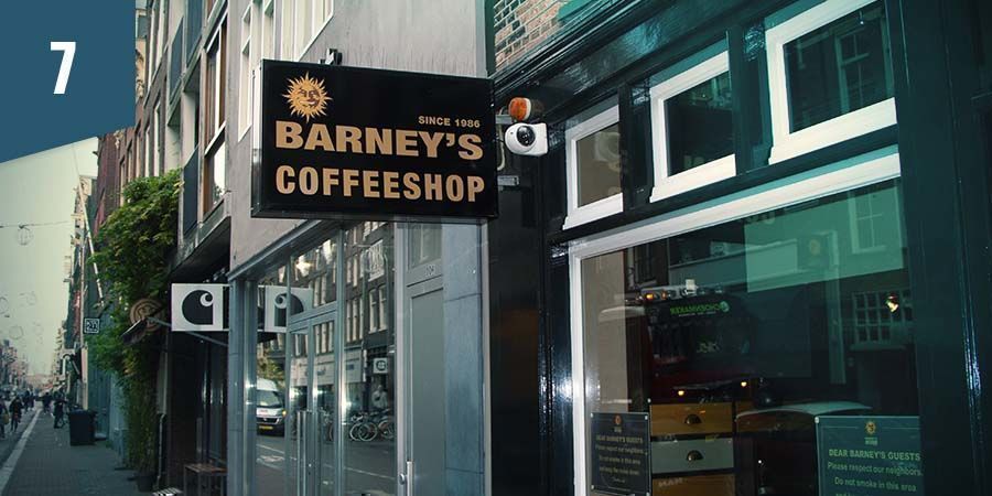 Barney's Coffeeshop Amsterdam Barney's Coffeeshop Amsterdam - najlepsza indica