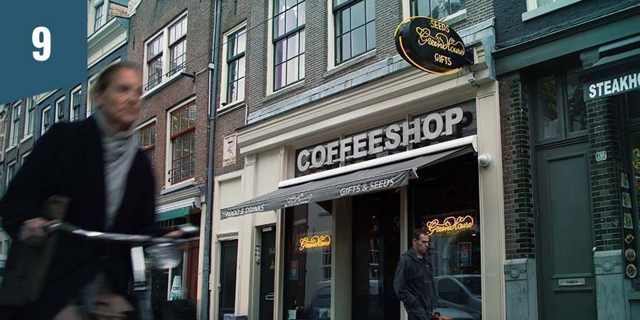 Green House Coffeeshop Amsterdam Green House Coffeeshop Amsterdam - Najlepsze kwiaty indica