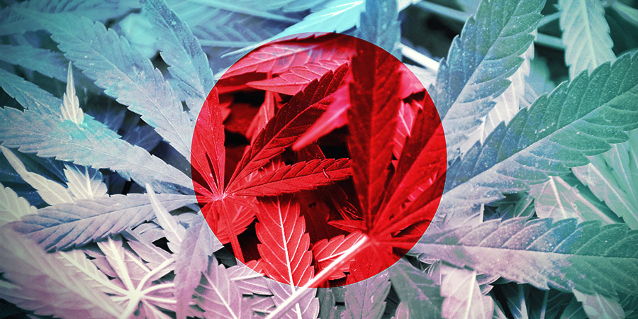 Historia konopi z Hokkaido HISTORIA KONOPI Z HOKKAIDO