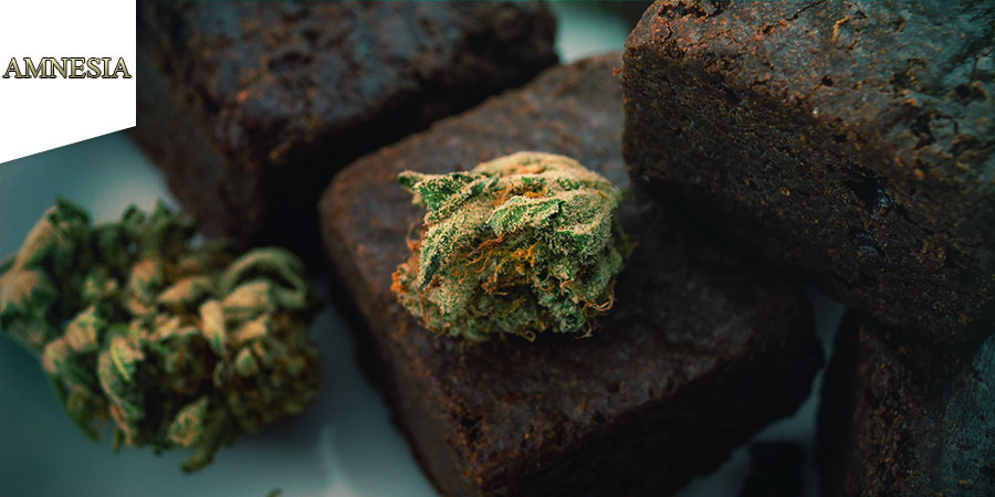 Coffeeshop Amnesia Amsterdam Coffeeshop Amnesia Amsterdam - Cannabis Edibles