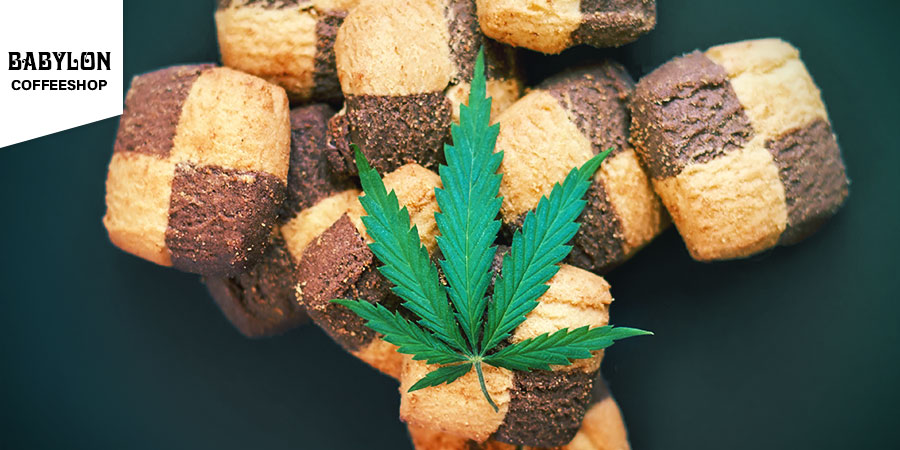 Coffeeshop Babylon Amsterdam Coffeeshop Babylon Amsterdam - Cannabis Edibles