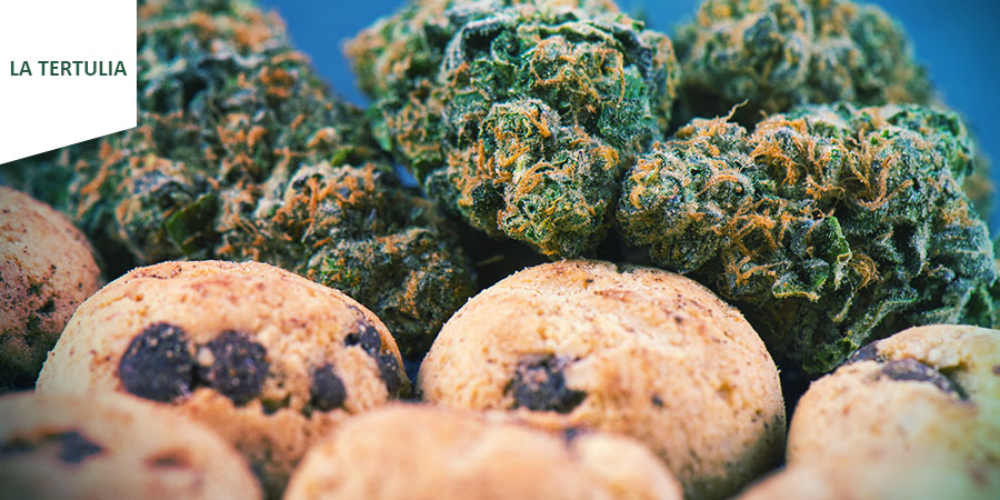 Coffeeshop La Tertulia Amsterdam Coffeeshop La Tertulia Amsterdam - Cannabis Edibles