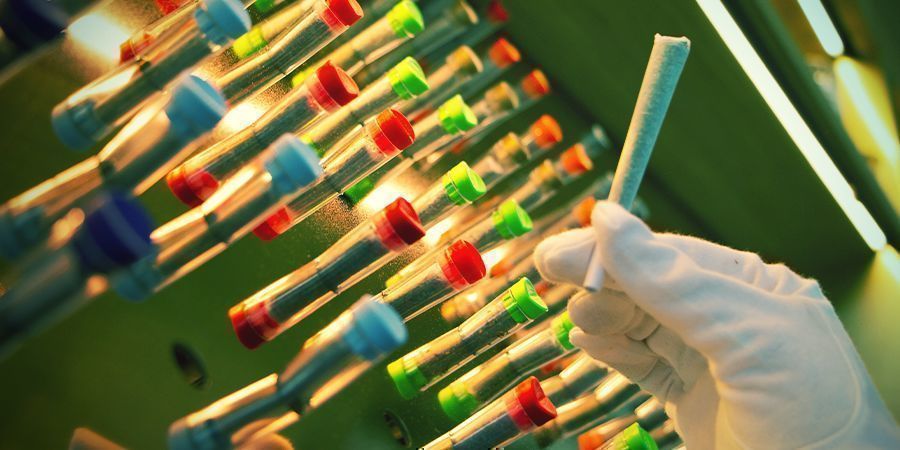 CZYM JEST CAVI CONE?