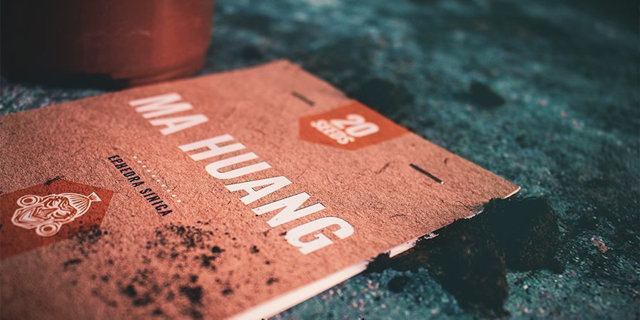 Jak uprawiać Ephedrę? Jak uprawiać Ephedrę?