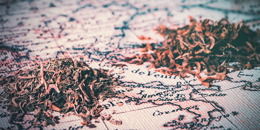 Historia dagga Historia dagga