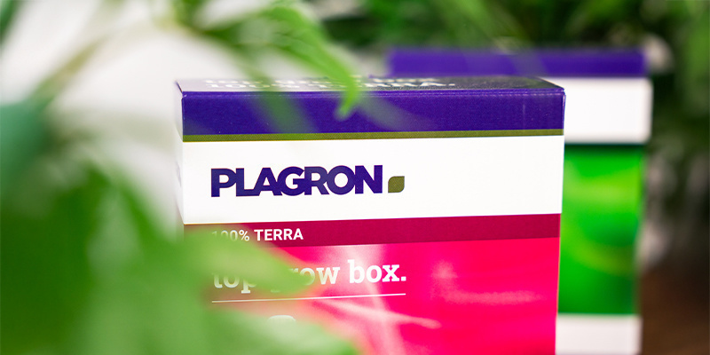 Plagron: Kim są i czym się zajmują? Plagron: Kim są i czym się zajmują?