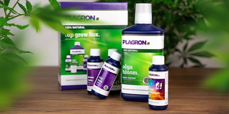 Top Grow Box 100% Natural Top Grow Box 100% Natural