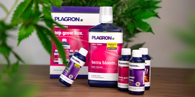 Top Grow Box 100% Terra Top Grow Box 100% Terra