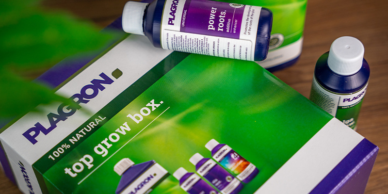 Który zestaw Plagron Grow Box jest dla Ciebie odpowiedni? Który zestaw Plagron Grow Box jest dla Ciebie odpowiedni?