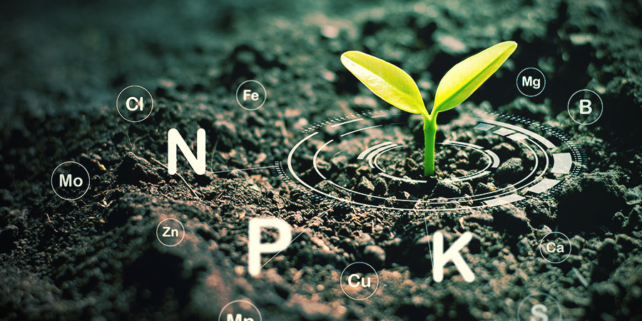 Starannie kontroluj składniki odżywcze Starannie kontroluj składniki odżywcze