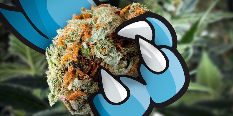 Efekty Blue Monster Automatic Effects Of Blue Monster Automatic