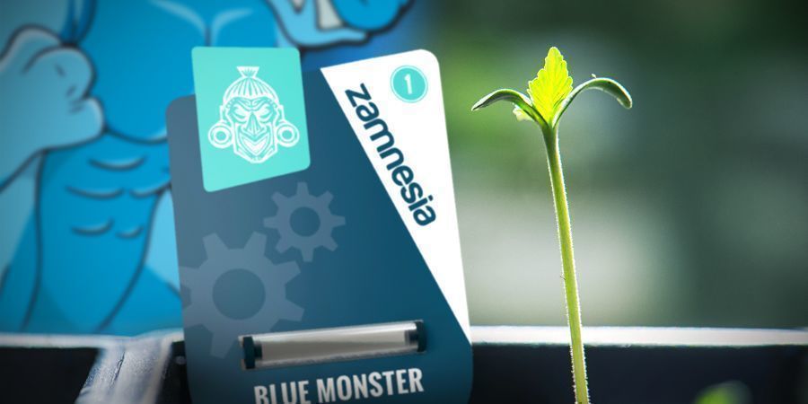 Growing Blue Monster Automatic Growing Blue Monster Automatic