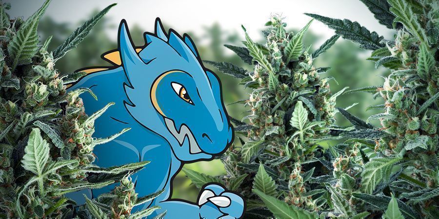 Say Hello To Blue Monster Automatic Say Hello To Blue Monster Automatic