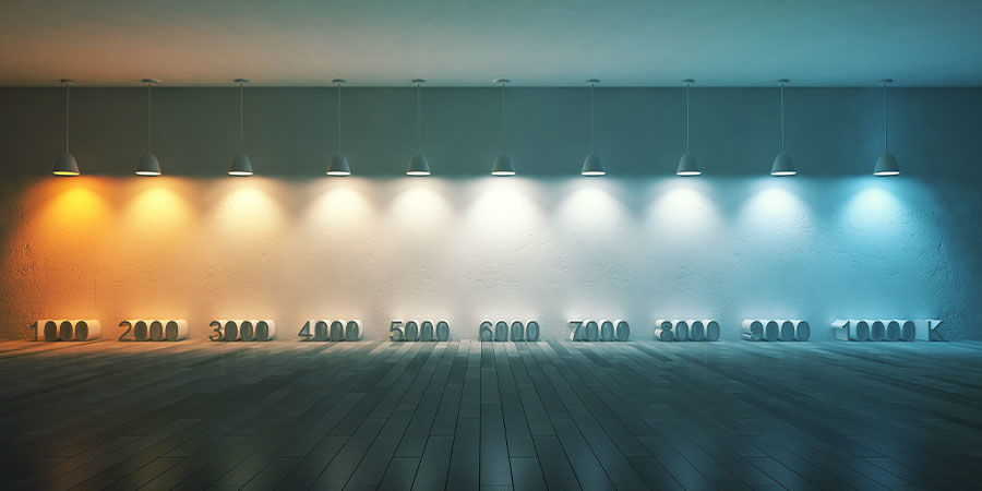 Ile światła powinny otrzymywać twoje grzybki halucynki?