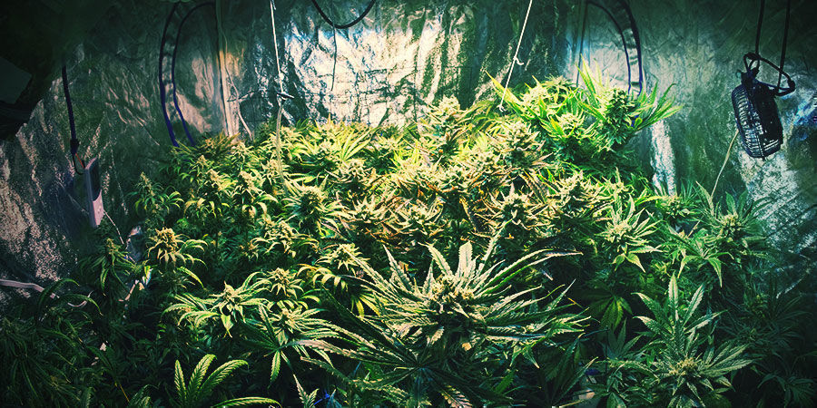 Wybierz odpowiednią przestrzeń