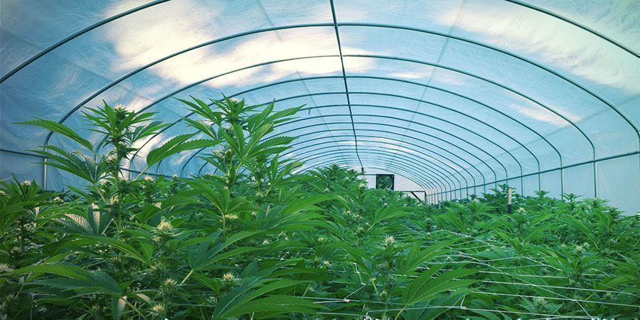 Popraw izolację Improve Insulation