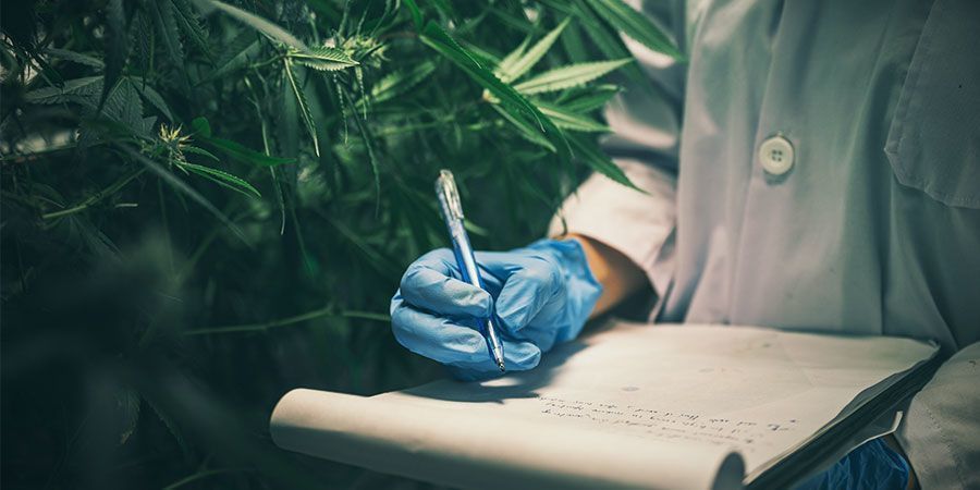 Monitor Energy Consumption Monitor Energy Consumption