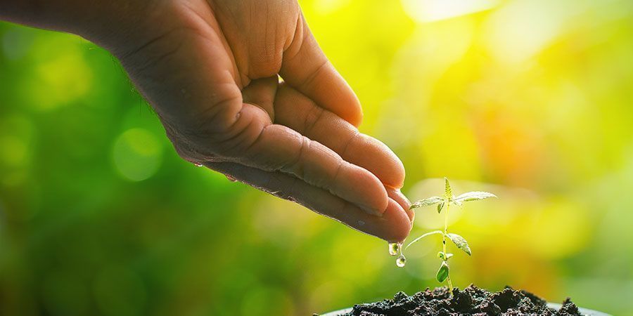 Oszczędzaj wodę Save Water