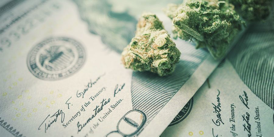 Znaczenie oszczędzania energii podczas uprawy konopi Znaczenie oszczędzania energii podczas uprawy konopi