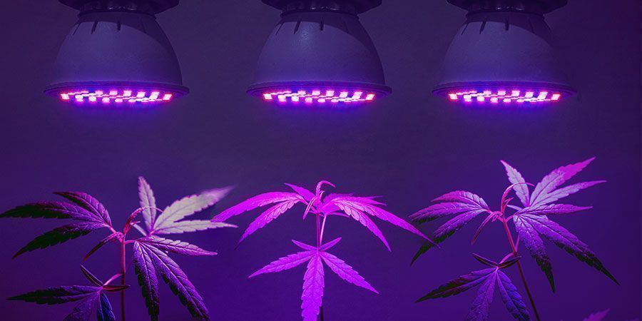 Znajdź najbardziej wydajne rozwiązanie oświetleniowe Znajdź najbardziej wydajne rozwiązanie oświetleniowe