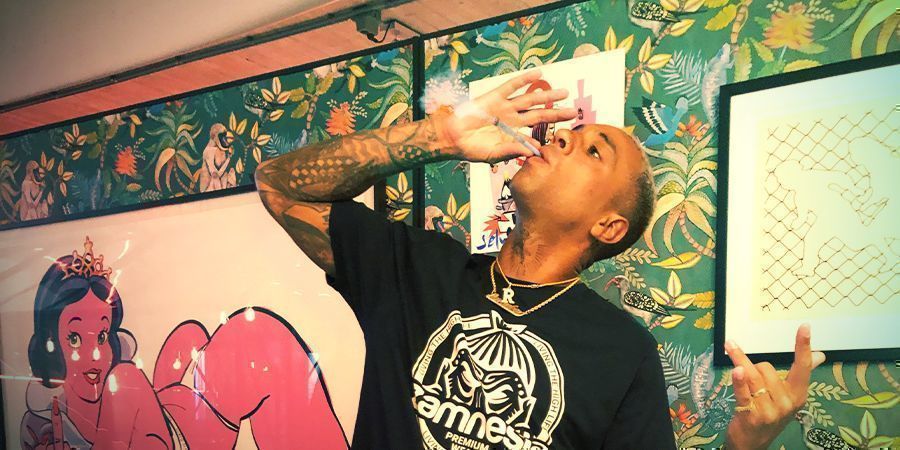 Test jointów Zamnesii