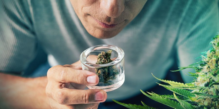 ZZ Punch: Działanie, smak i aromat ZZ Punch: Działanie, smak i aromat