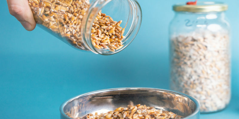 Kolejny etap: zaszczepianie podłoża masowego