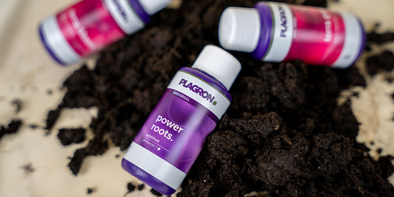 NAJLEPSZE NAWOZY GOTOWE DO UŻYCIA