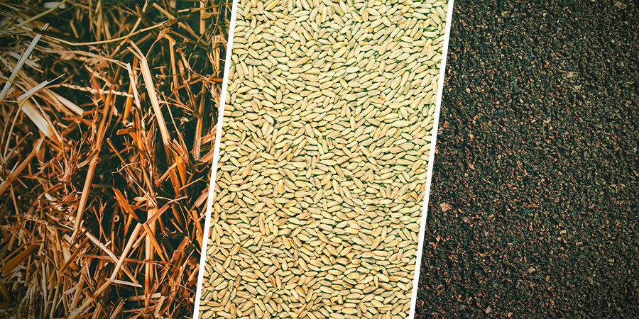 CZYM JEST PODŁOŻE DO GRZYBÓW?