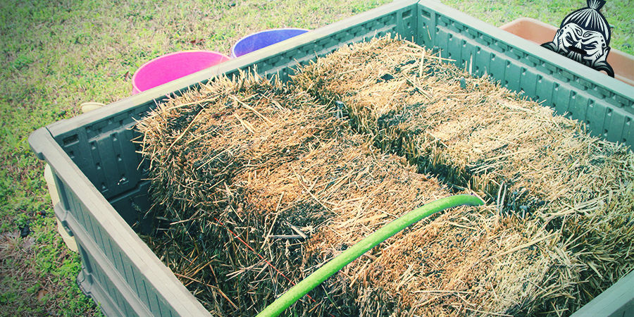 KIEDY PASTERYZOWAĆ / STERYLIZOWAĆ