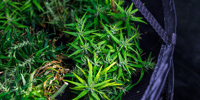 Suszarka do suszenia DRYING RACK