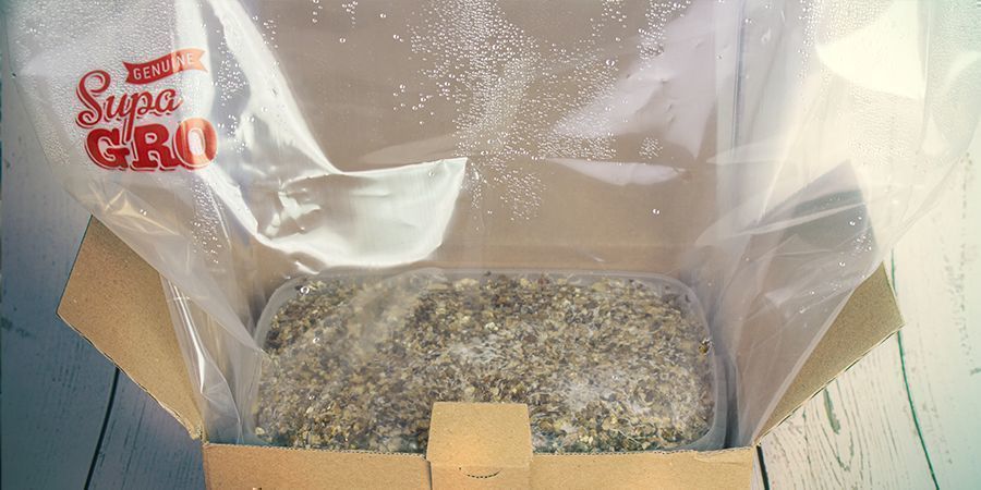 ZABLOKUJ ŚWIATŁO Z BOKÓW