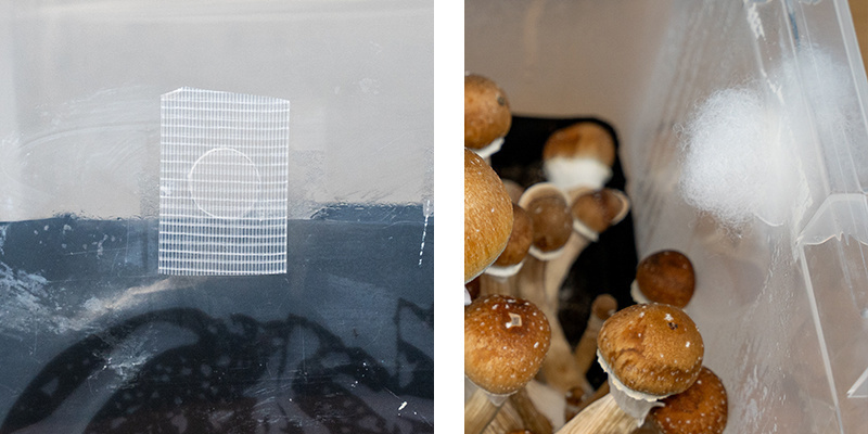 4. Blocking airflow with Poly-Fil