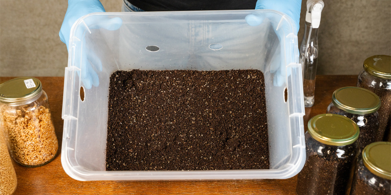 Jaki rozmiar pojemnika jest najlepszy do monotubu?