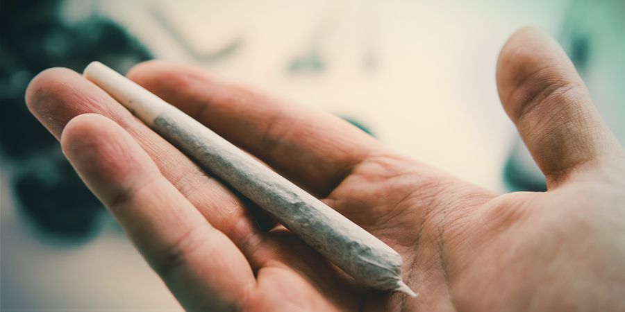 Uzależnienie od marihuany — ostateczne wnioski UZALEŻNIENIE OD MARIHUANY — OSTATECZNE WNIOSKI