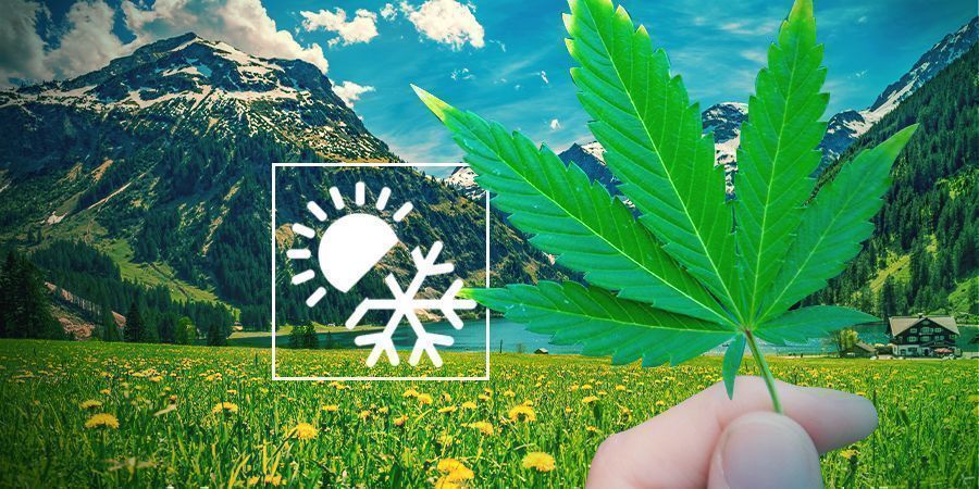 Klimat kontynentalny: Europa Środkowa Klimat kontynentalny: Europa Środkowa