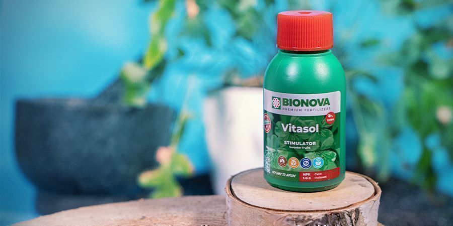 Bionova VitaSol Bionova VitaSol