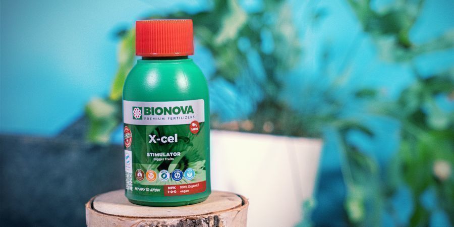 Bionova X-cel Bionova X-cel