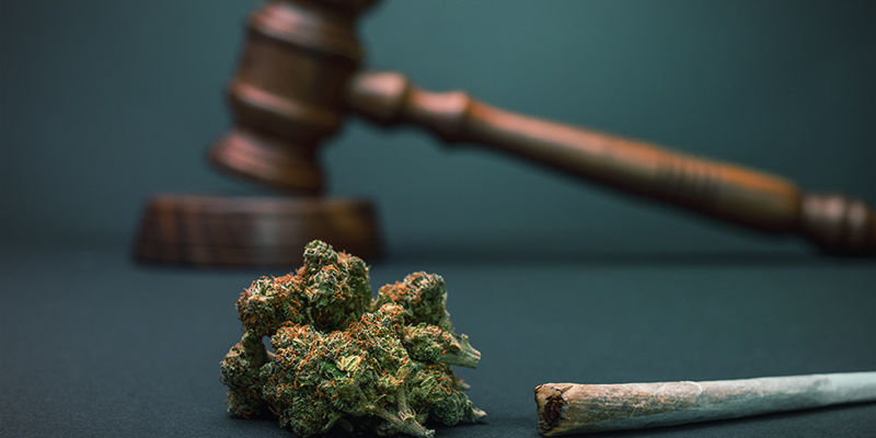 Dopracowywanie szczegółów Francja i darmowa marihuana – dopracowywanie szczegółów