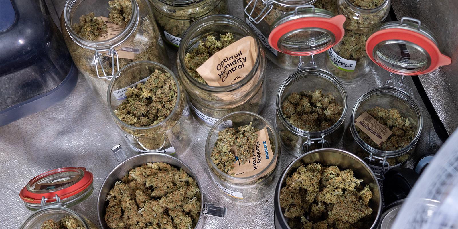 Uprawiaj mądrze, zbieraj obficie Grow smart, harvest big