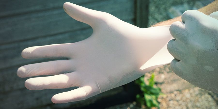 Jak zapobiegać inwazji mszyc korzeniowych: zmieniaj środki zwalczania