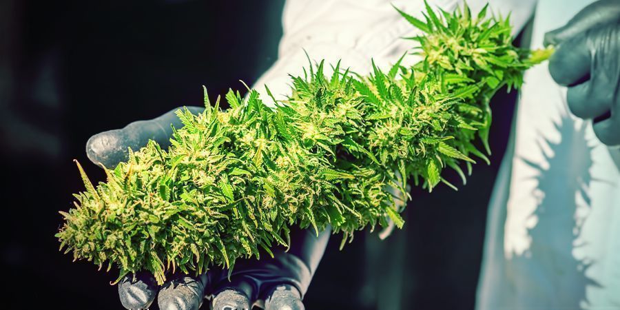 Korzyści z prawidłowego poziomu wilgotności