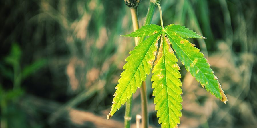 Konsekwencje niewłaściwej kontroli wilgotności