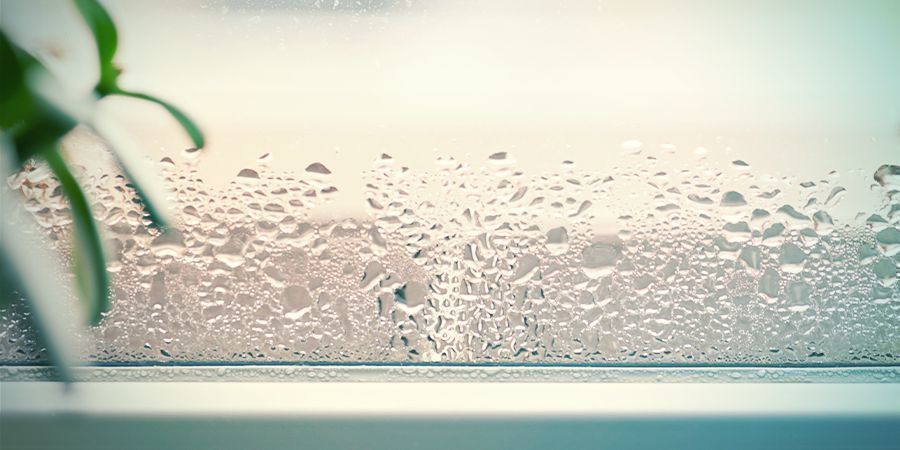 Czym jest wilgotność powietrza?