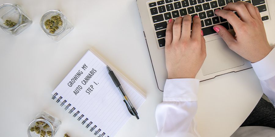 Zaplanuj uprawę, aby uniknąć przesadzania automatów