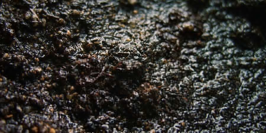 MOKRY I ŚLUZOWATY KOMPOST