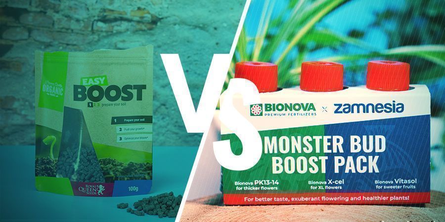 Różnica między płynnymi a granulowanymi nawozami Różnica między płynnymi a granulowanymi nawozami