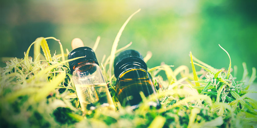 Czym jest tolerancja i jak działa? Czym jest tolerancja i jak działa?