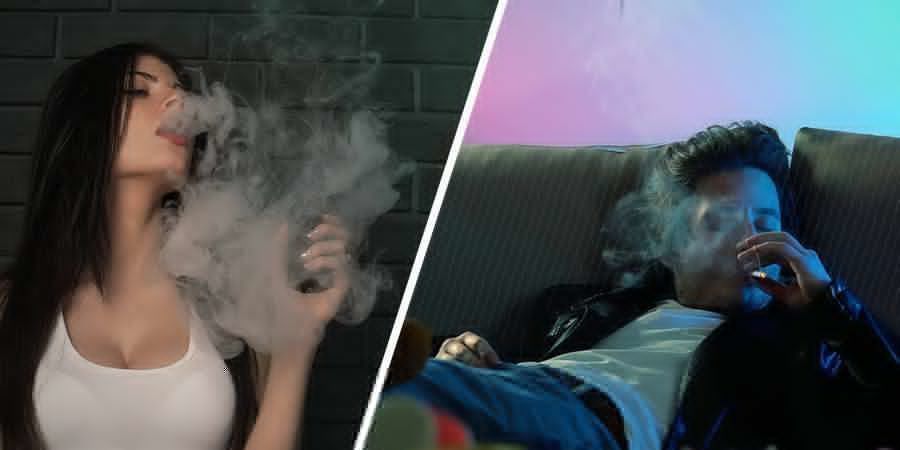 Przejrzystość haju